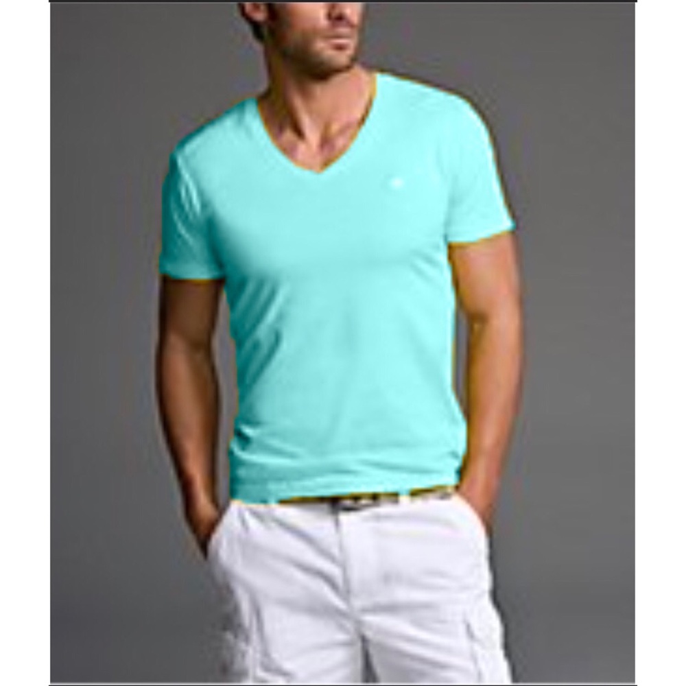 Express Small Lion V-Neck Blue Tee